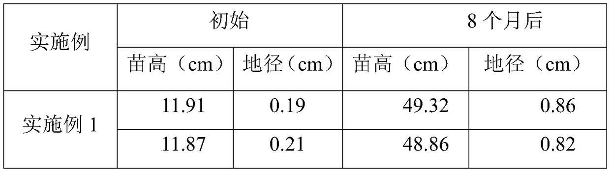 Management method of artificial forest of pinus massoniana