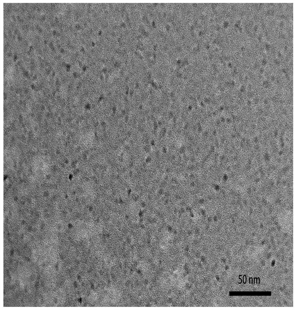 A kind of preparation method of amidated carbon quantum dot