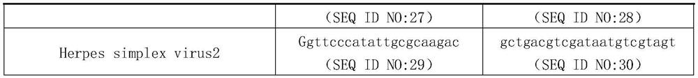 Method for detecting pathogens infected by cerebrospinal fluid based on PCR and nanopore sequencing