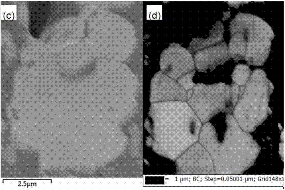 Electron back-scattering diffraction (EBSD) sample preparation method for cemented carbide powder