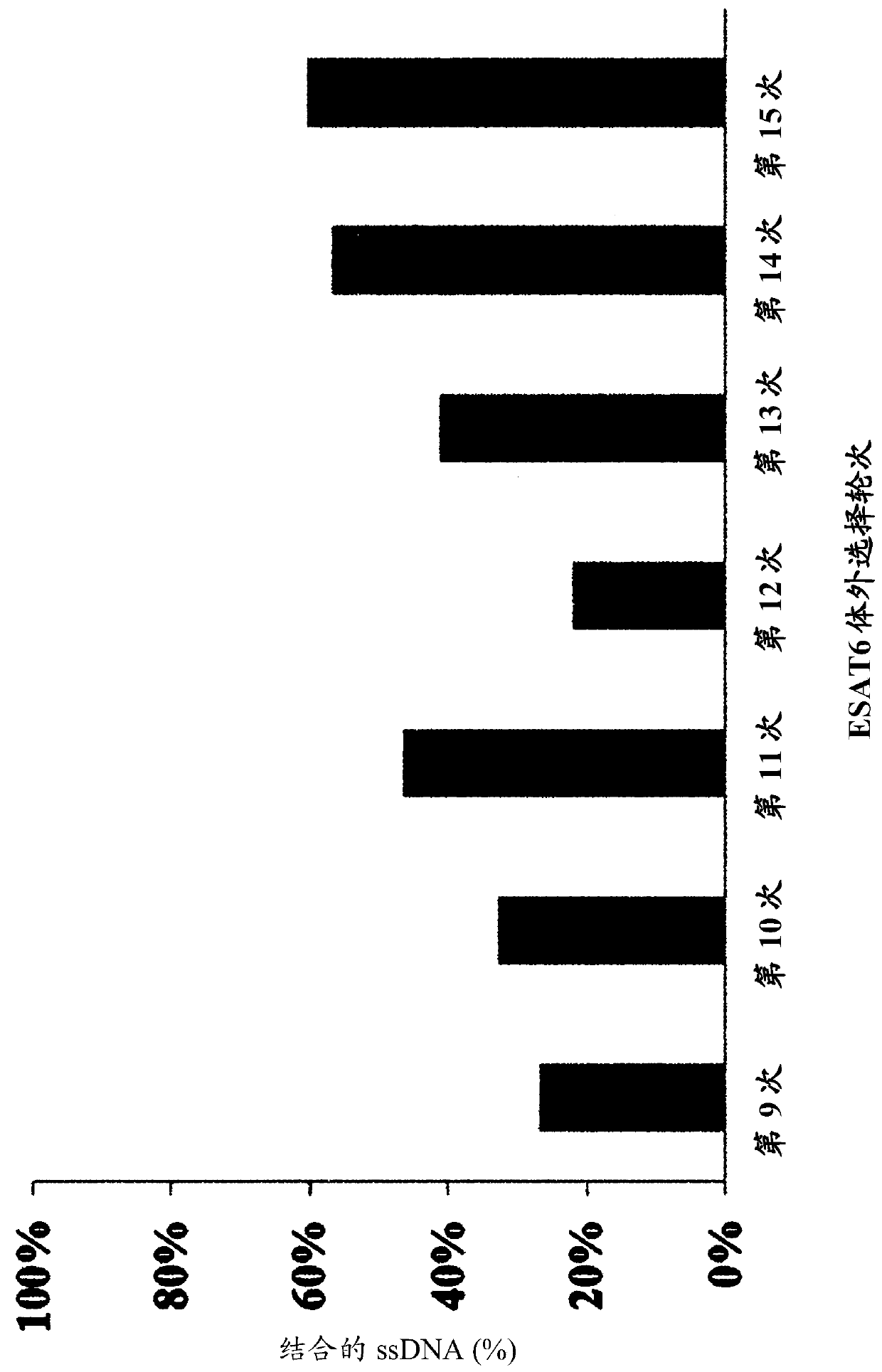 DNA aptamer binding specifically to esat6 and use thereof