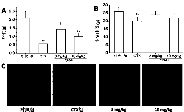 Extracting method of clinacanthus nutans anti-cancer active part and application thereof