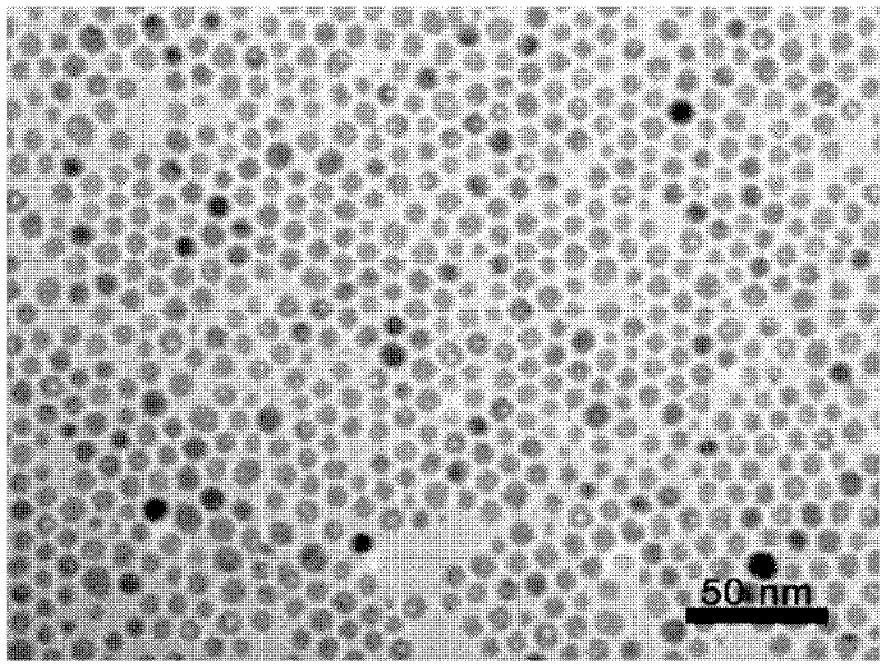 Preparation method of polymer-coated binary bifunctional nanocluster core-shell microspheres