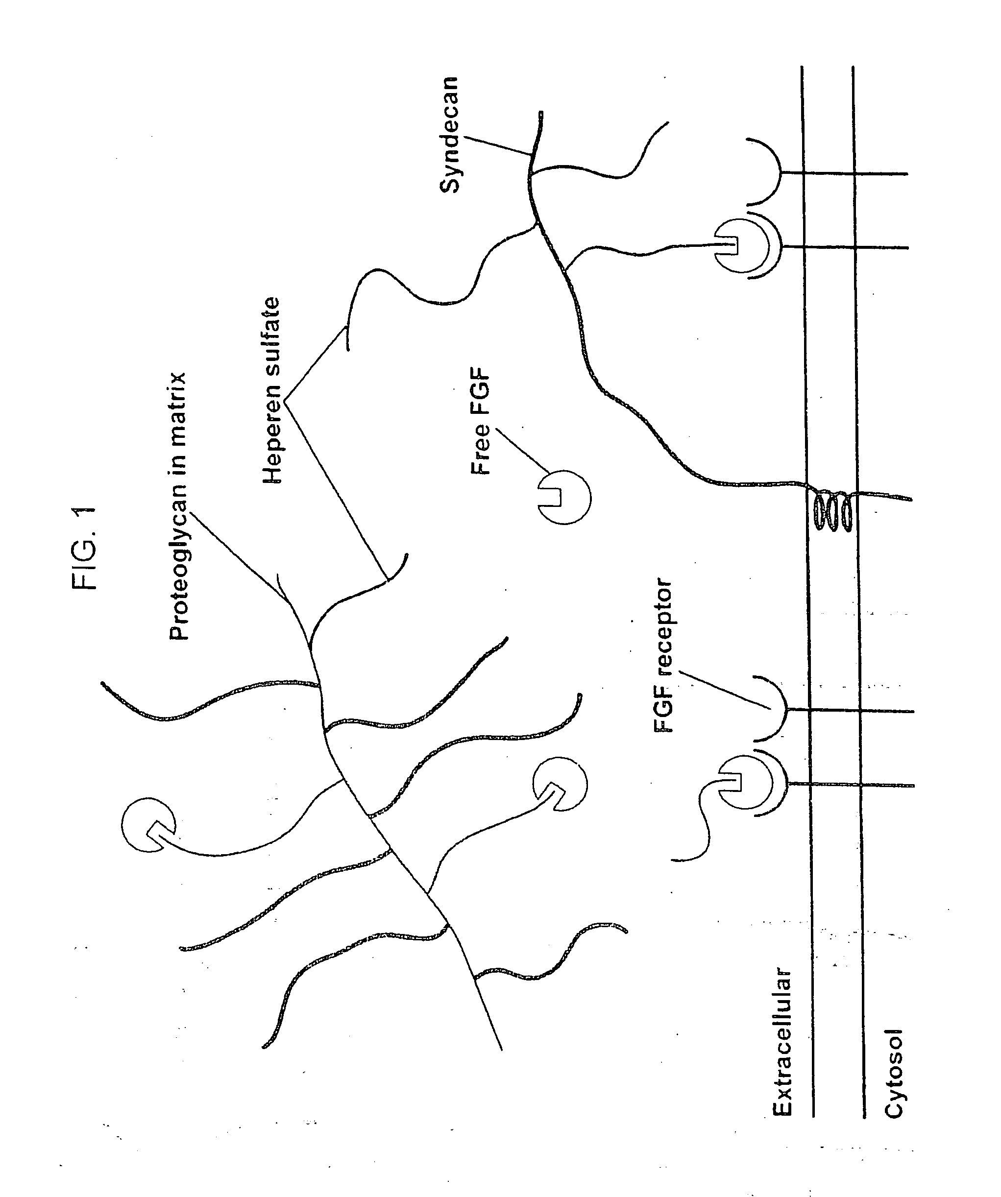 Compositions for Regenerating Defective or Absent Myocardium