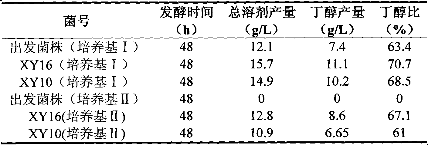 Clostridium acetobutylicum strain and screening method and application thereof