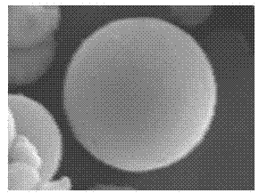 TiO2 microsphere and preparation method therefor