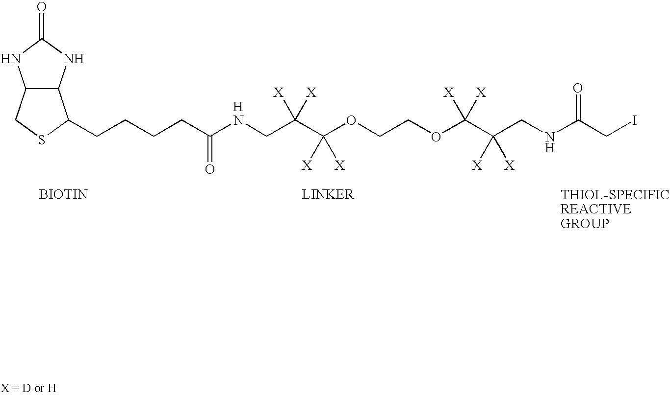 N-or C-terminal peptide selection method for proteomics