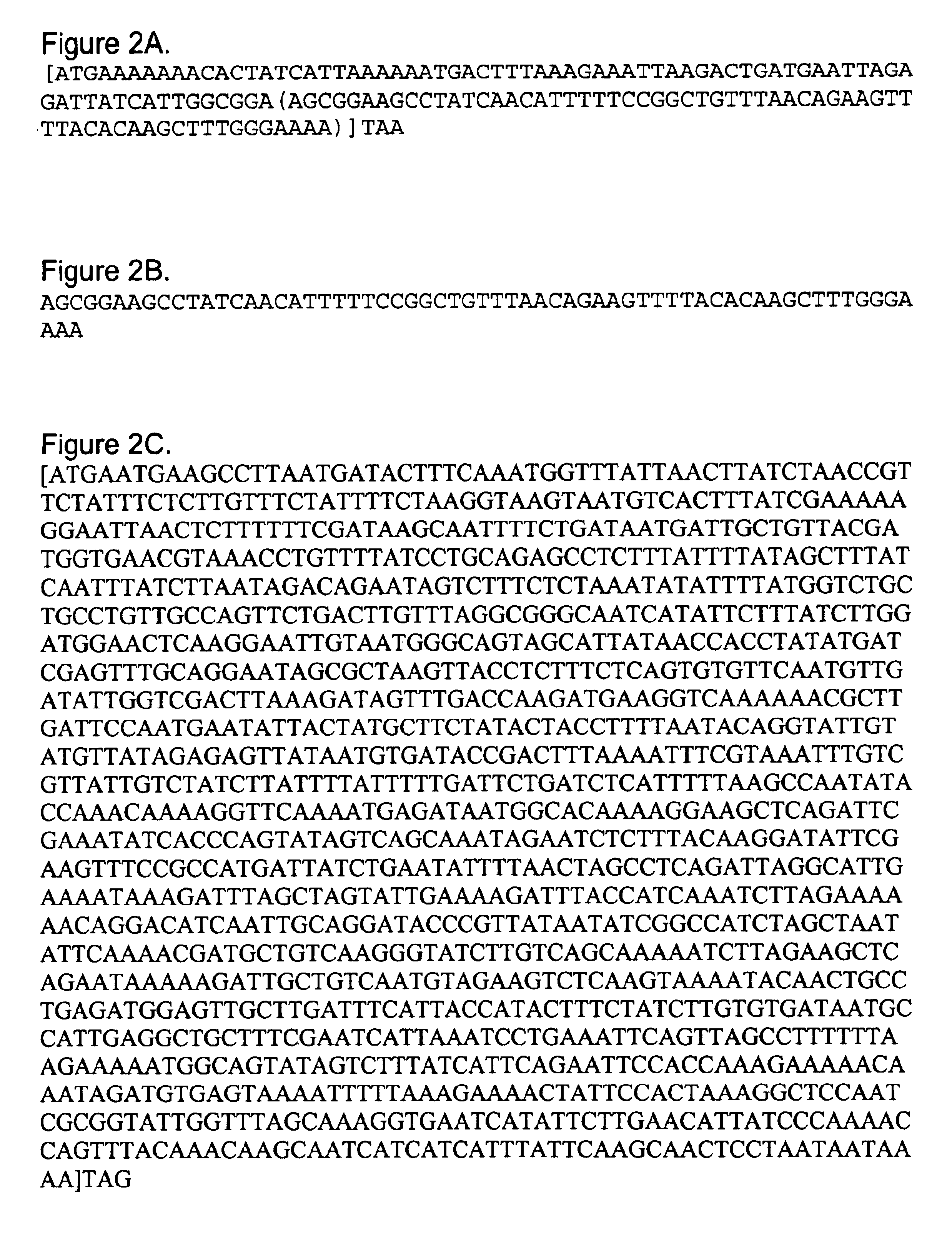 Signal peptides, nucleic acid molecules and methods for treatment of caries