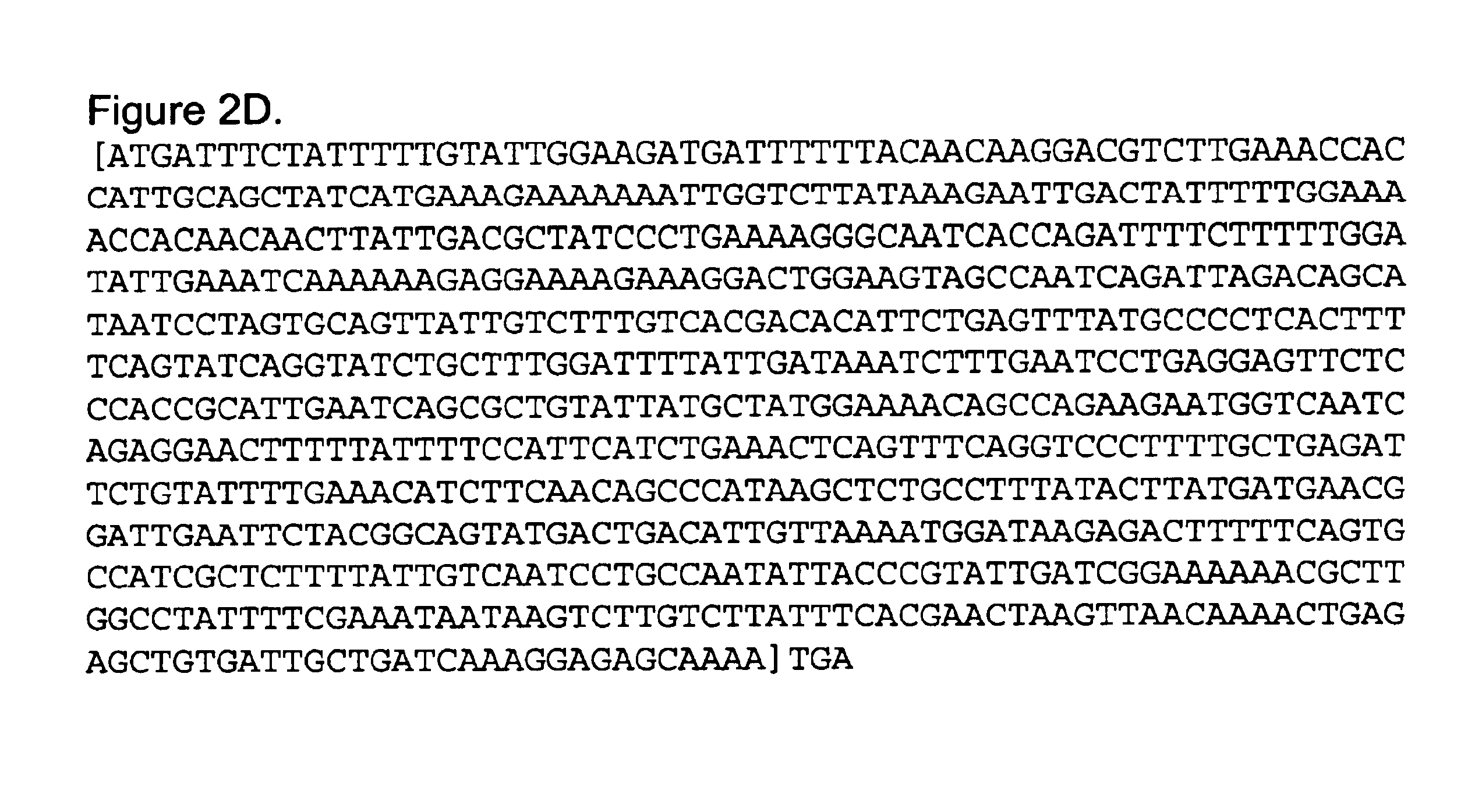 Signal peptides, nucleic acid molecules and methods for treatment of caries