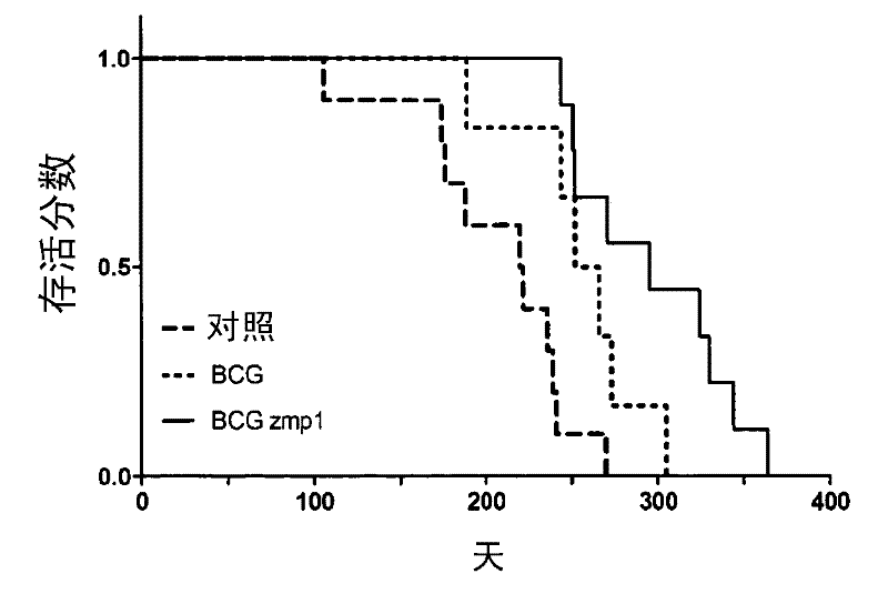 Mycobacterium tuberculosis vaccine