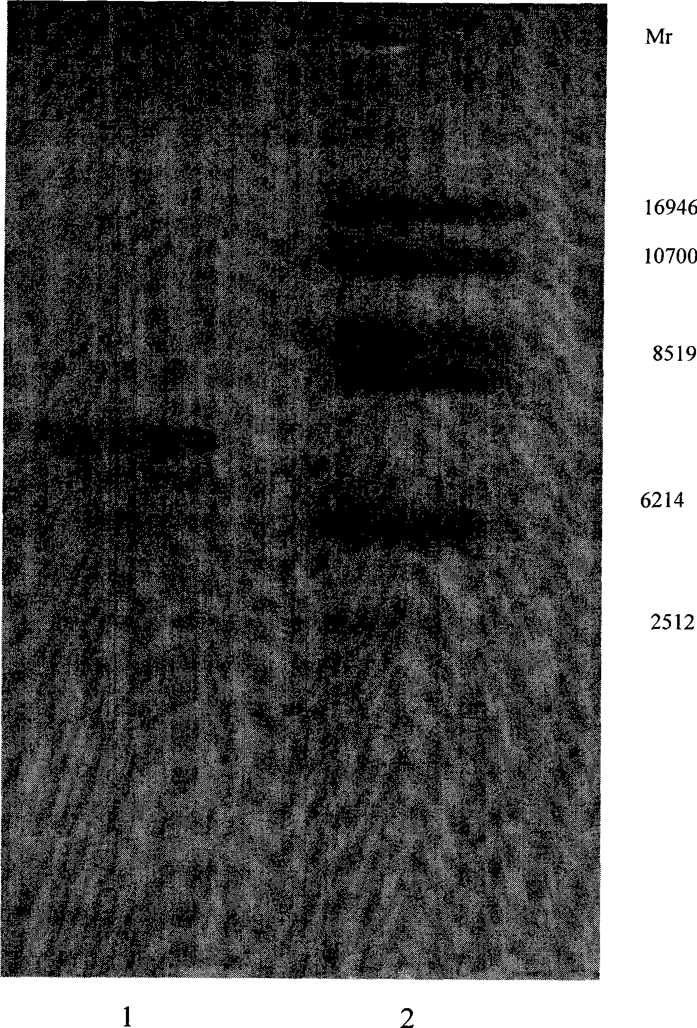 Cobratide extraction method, cobratide extracted thereby and formulation containing cobratide