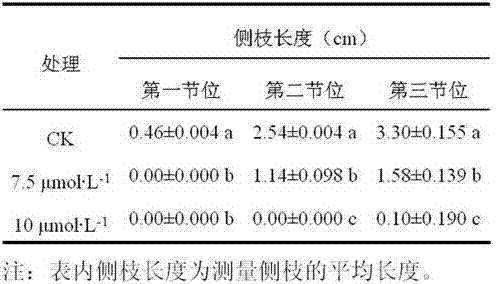 A method for inhibiting the growth and development of side branches of tomato