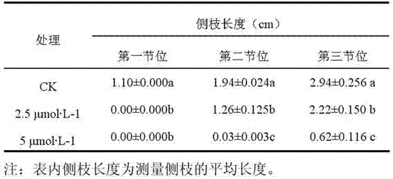 A method for inhibiting the growth and development of side branches of tomato