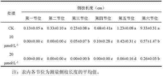 A method for inhibiting the growth and development of side branches of tomato