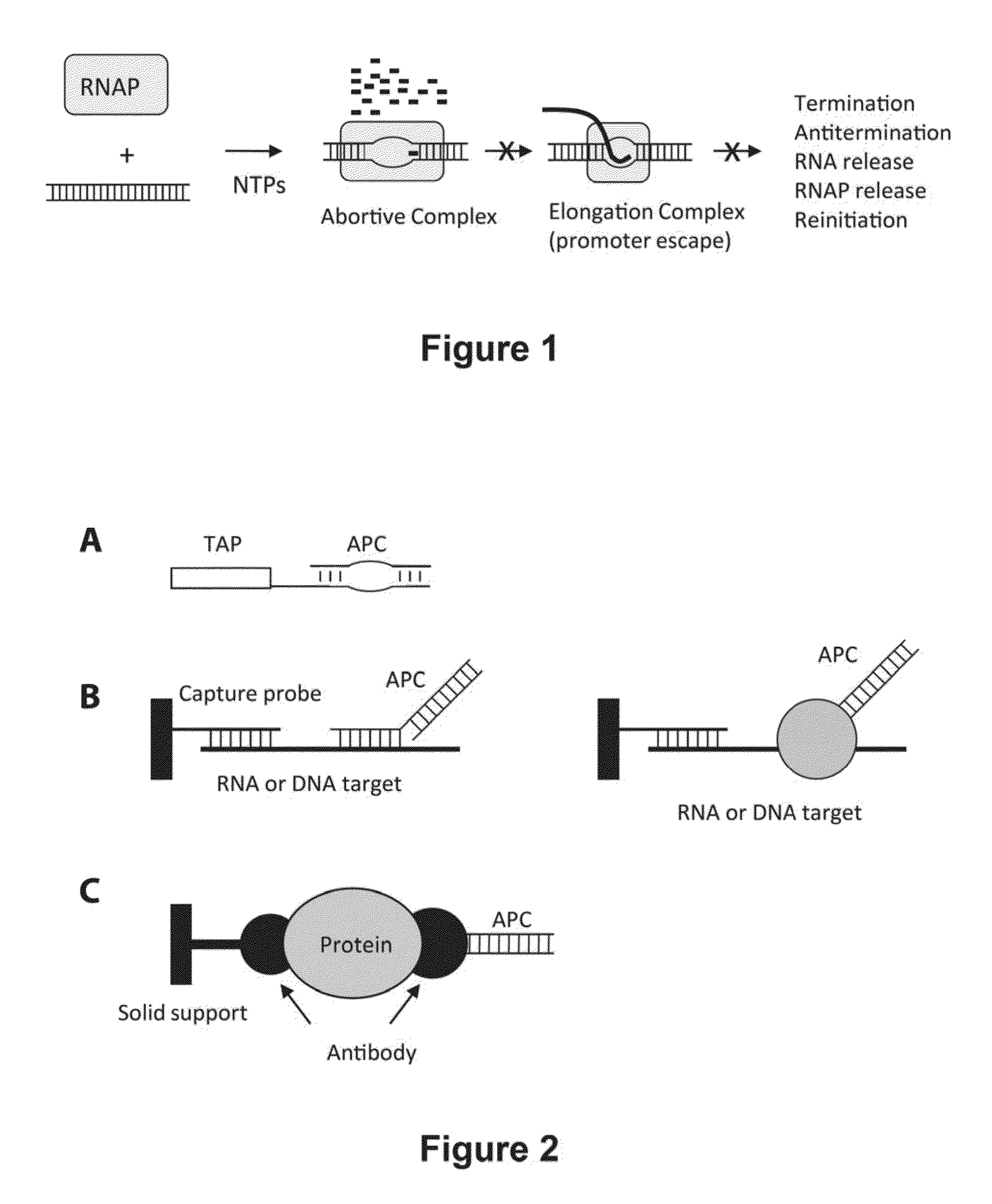 Abscription based molecular detection of DNA methylation