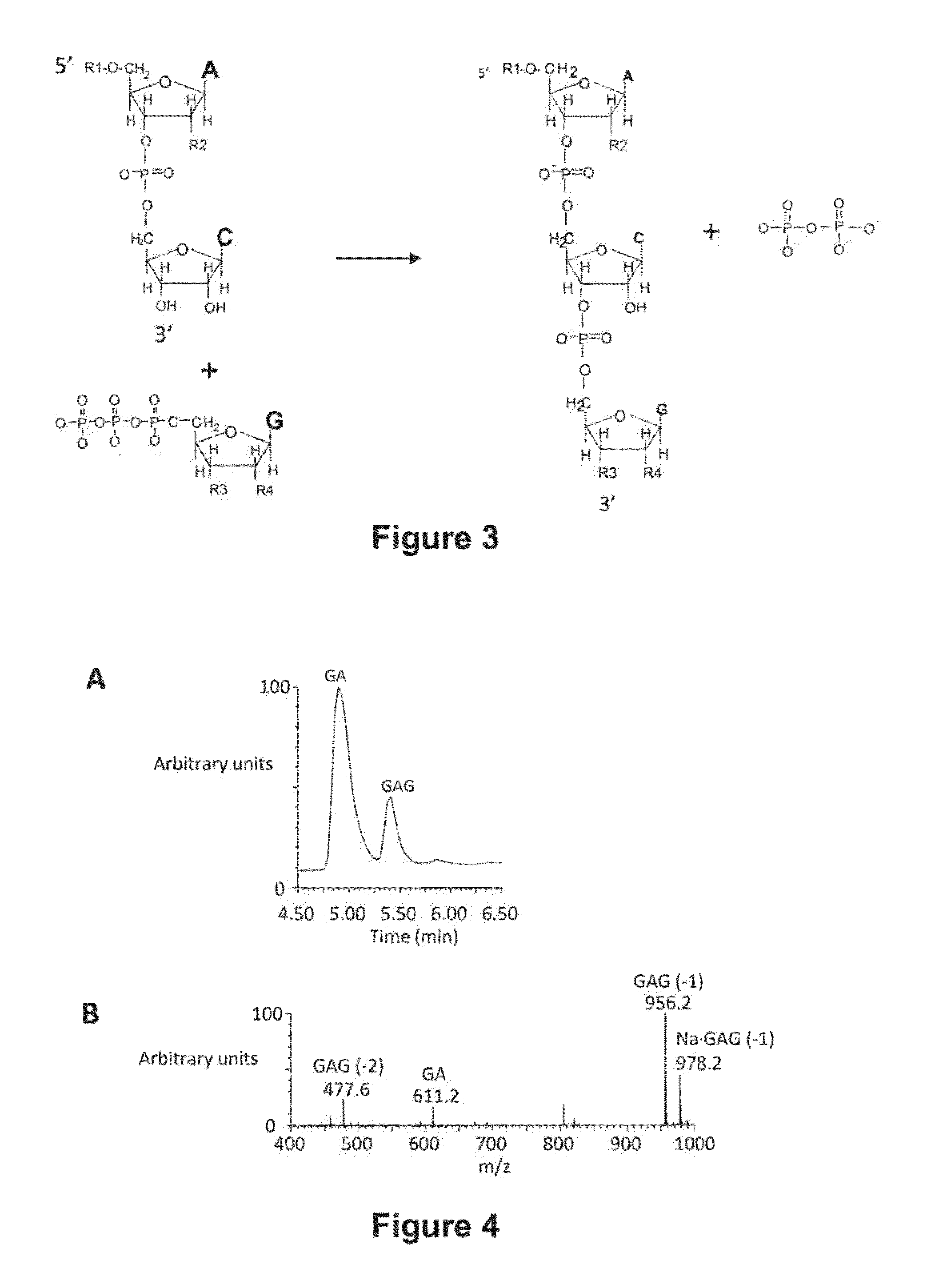 Abscription based molecular detection of DNA methylation