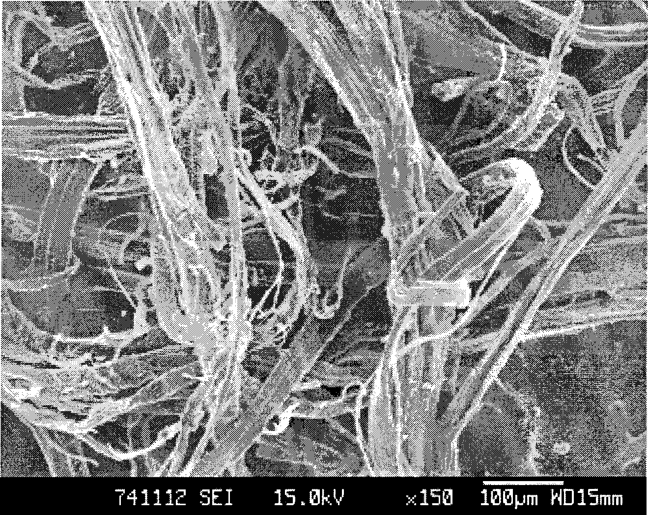 Ion exchange fiber material one-step preparation method