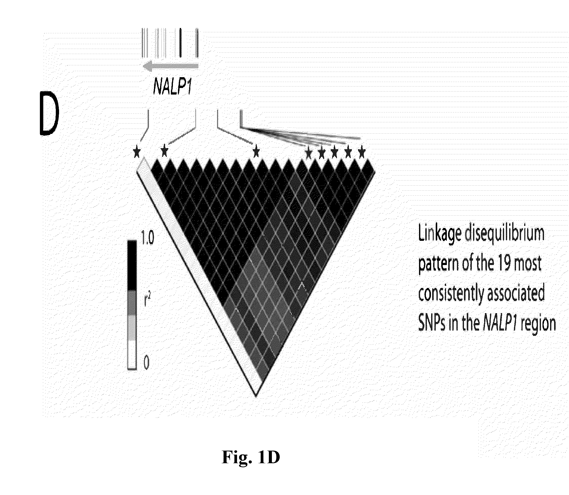 Gene and pathway and their use in methods and compositions for predicting onset or progression of autoimmune and/or autoinflammatory diseases