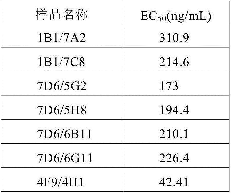 Anti-interleukin 17A antibody and preparation method and application thereof