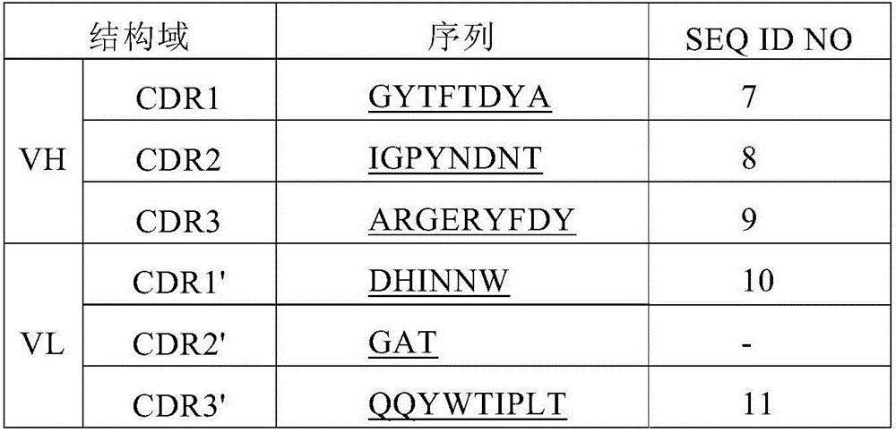 Anti-interleukin 17A antibody and preparation method and application thereof