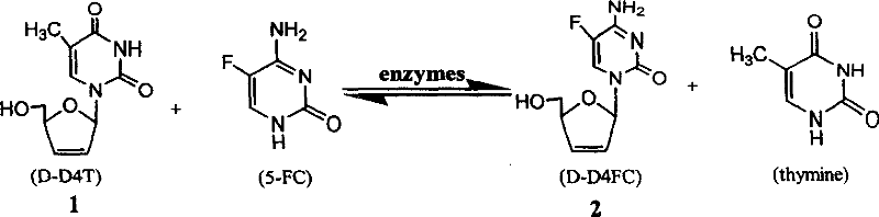 Synthesis method of 5-fluorocytidine