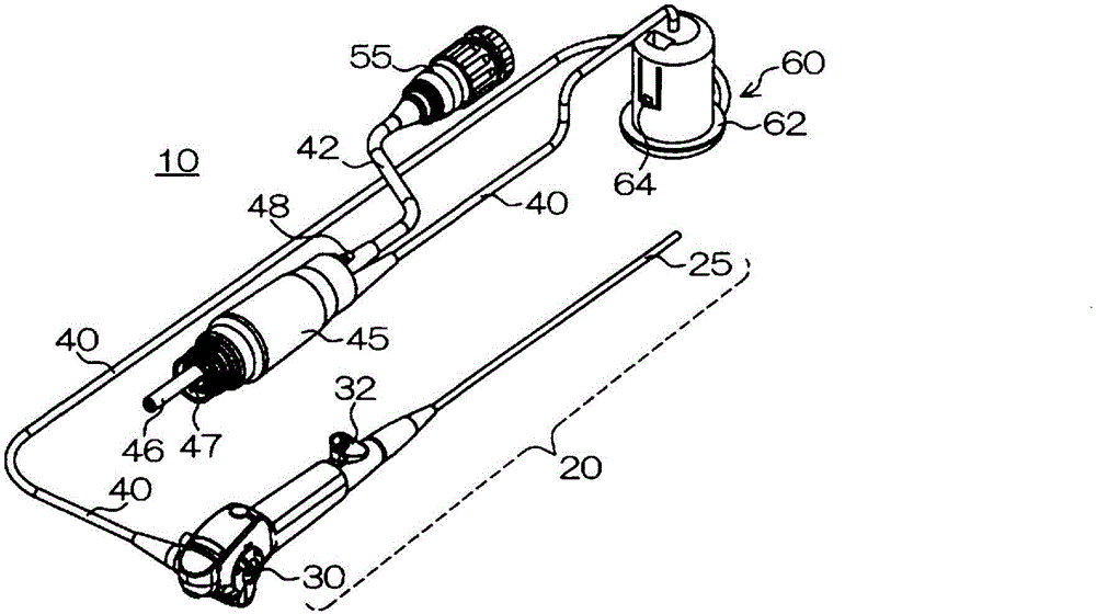 Endoscope and method for sterilizing endoscope