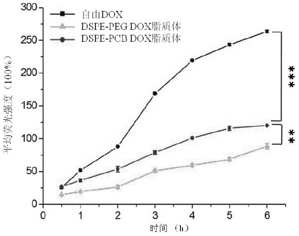 Long-circulating liposome capable of avoiding accelerated blood clearance (ABC) phenomenon, and preparation method and application thereof