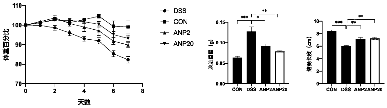 Application of atrial natriuretic peptide in preparation of medicine for treating inflammatory bowel diseases