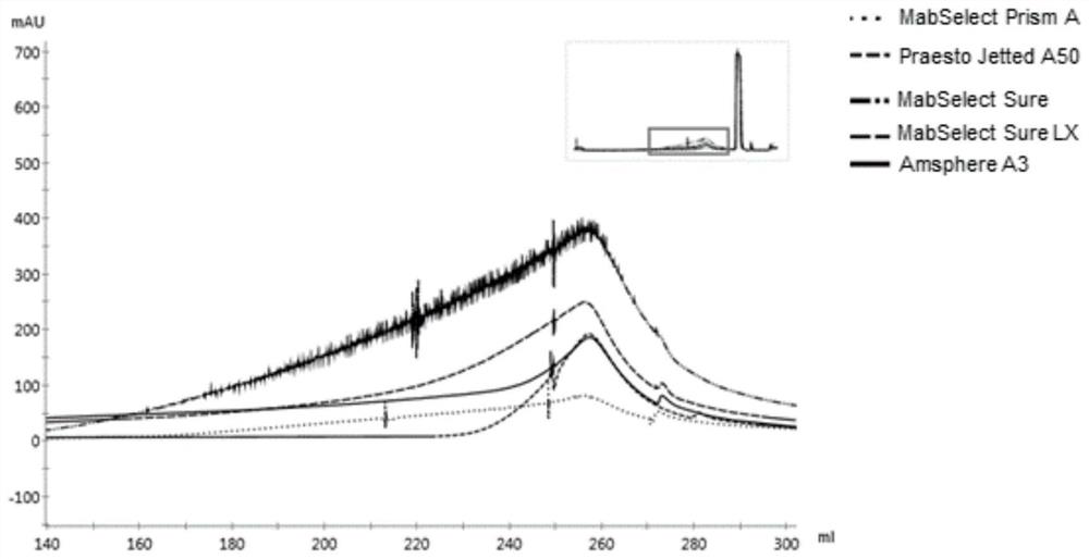 Determination method for dynamic loading capacity of affinity chromatography filler