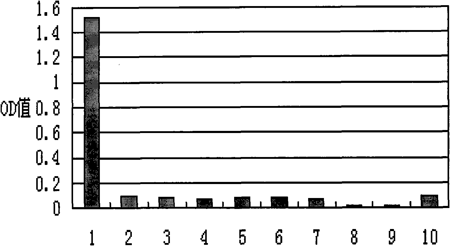 Vero cell HCP test kit and application thereof