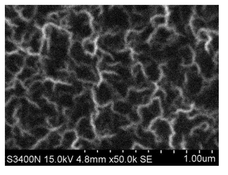 Nitrogen-doped graphene nanoribbons and preparation method thereof