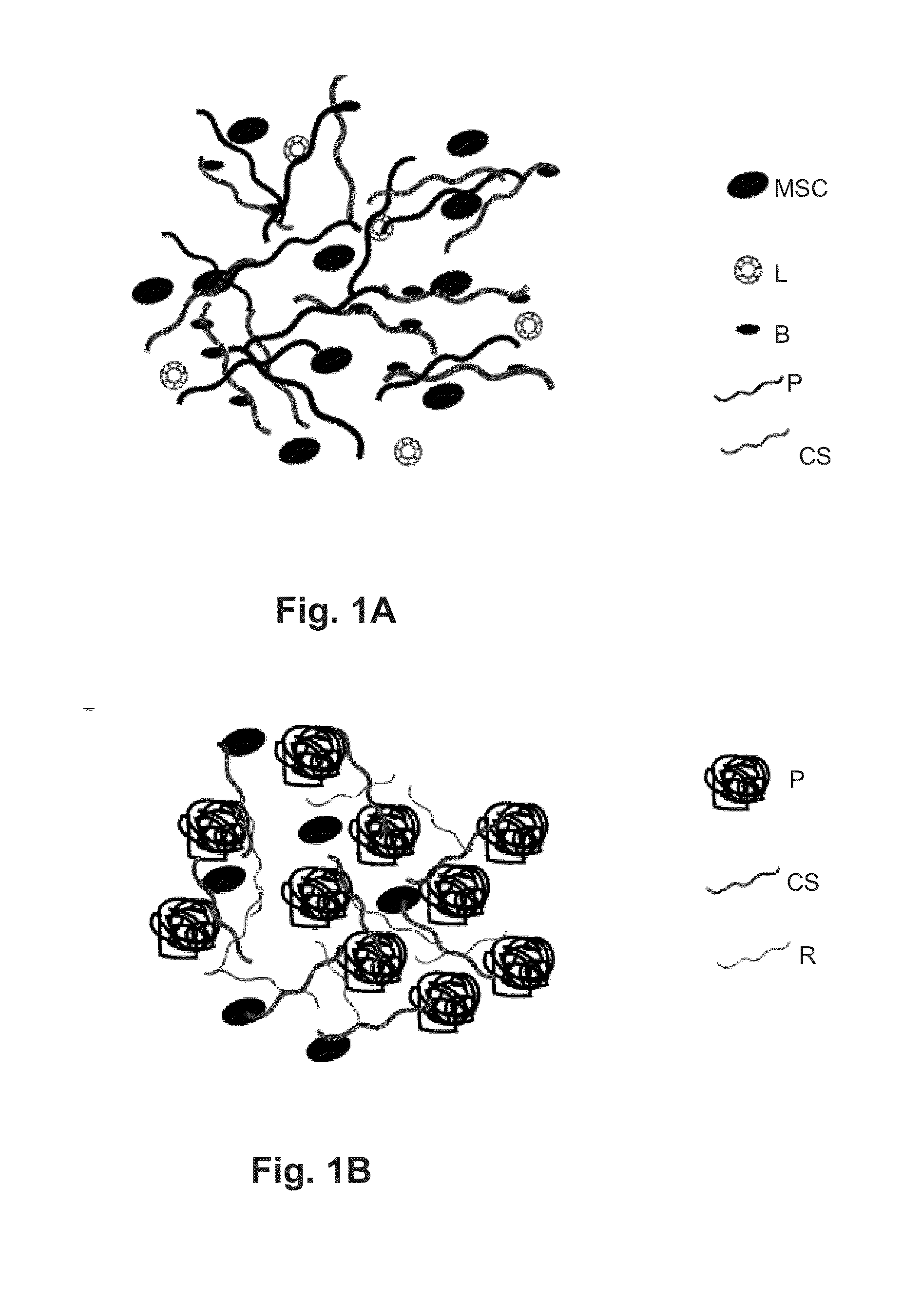 Self-Assembling Biomimetic Hydrogels Having Bioadhesive Properties