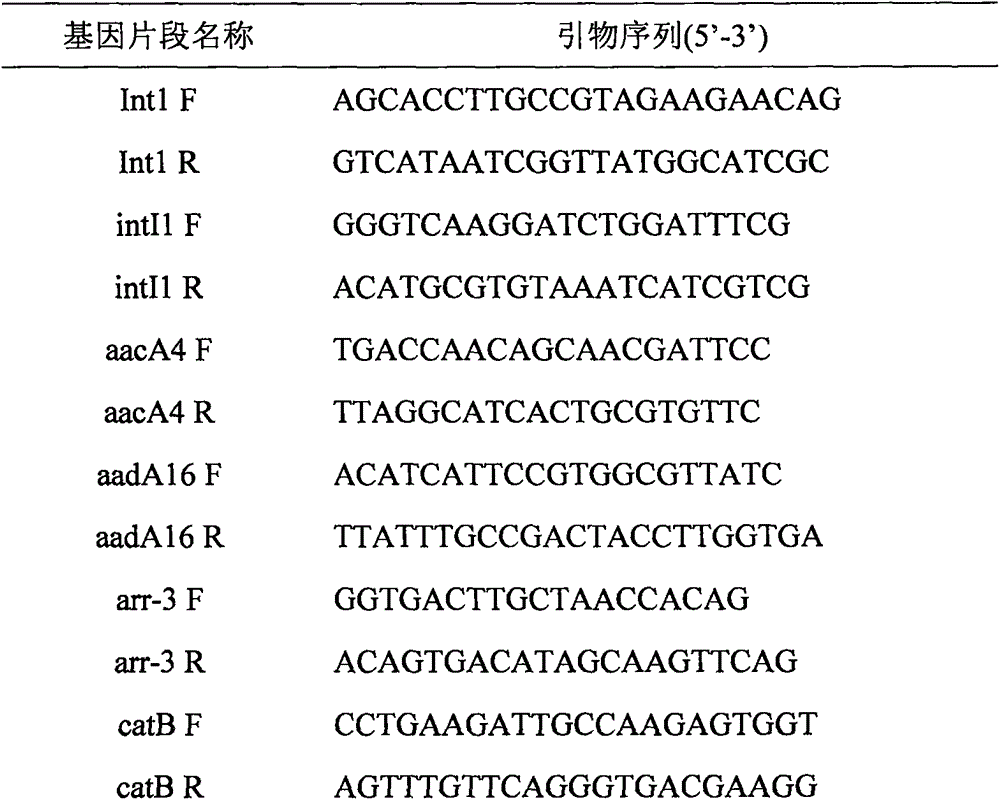 Novel integron In1290