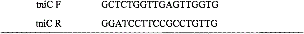 Novel integron In1290