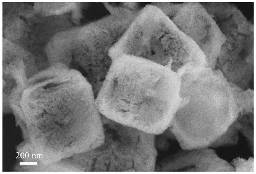 Preparation method and application of hydrogen evolution catalytic material Pt-CoP