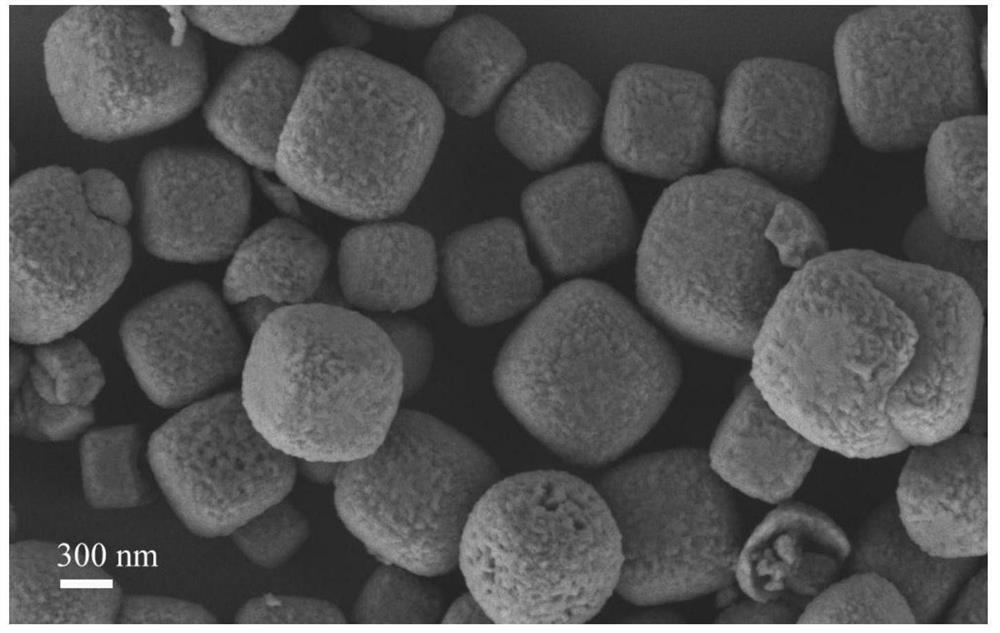 Preparation method and application of hydrogen evolution catalytic material Pt-CoP