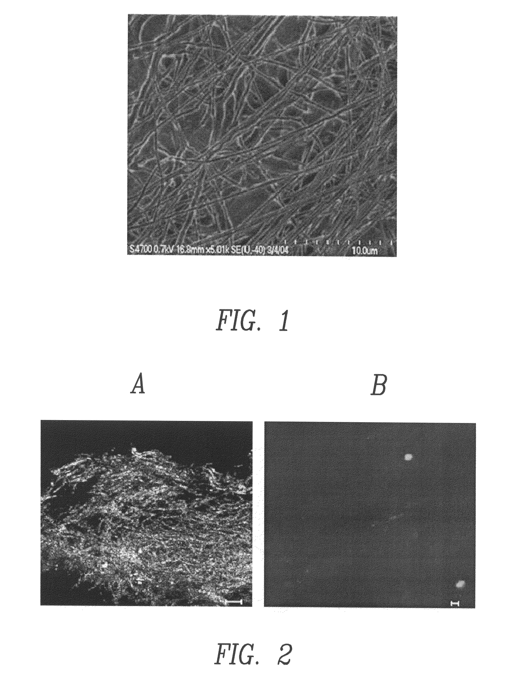 Multifunctional and biologically active matrices from multicomponent polymeric solutions