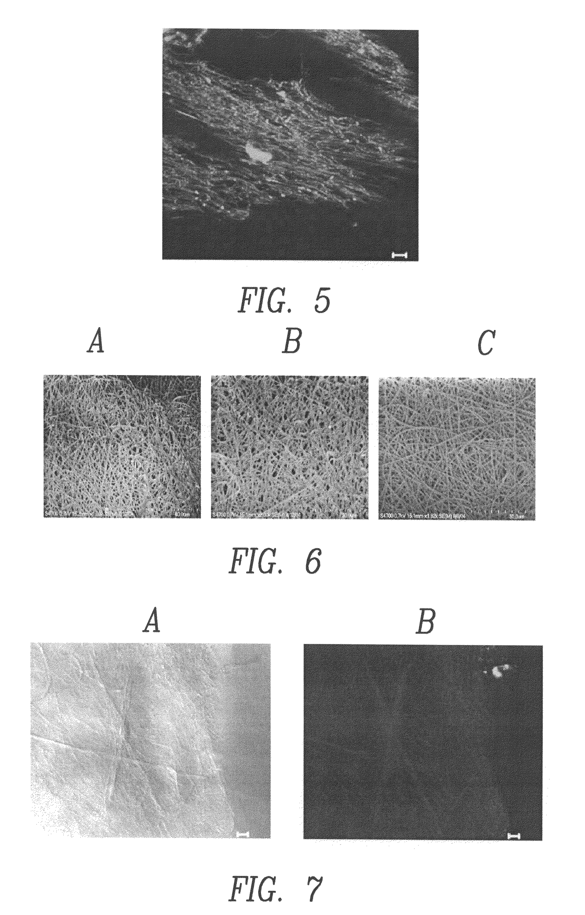 Multifunctional and biologically active matrices from multicomponent polymeric solutions