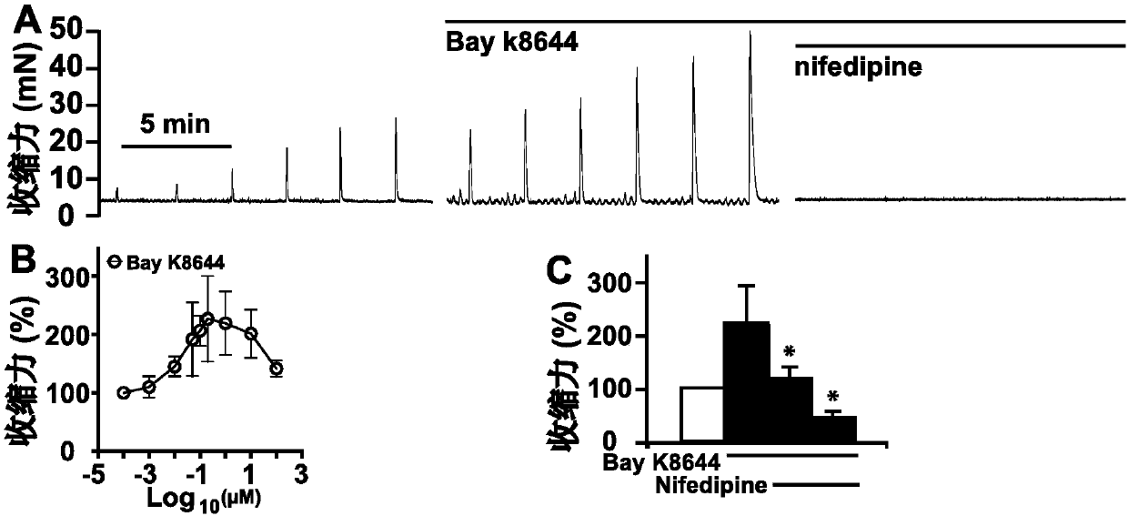 Application of L-type-voltage-gated-calcium-channel agonist to preparing medicine for treating mammal-bladder urinary dysfunction and evaluation method