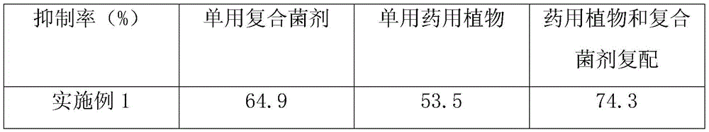 Liquid state composite biological multivariable control paddy herbicide and preparation method thereof