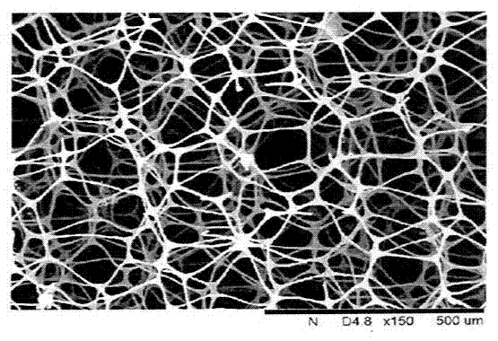 A cationic skeleton polymer capable of removing bacteria in the air and its preparation method