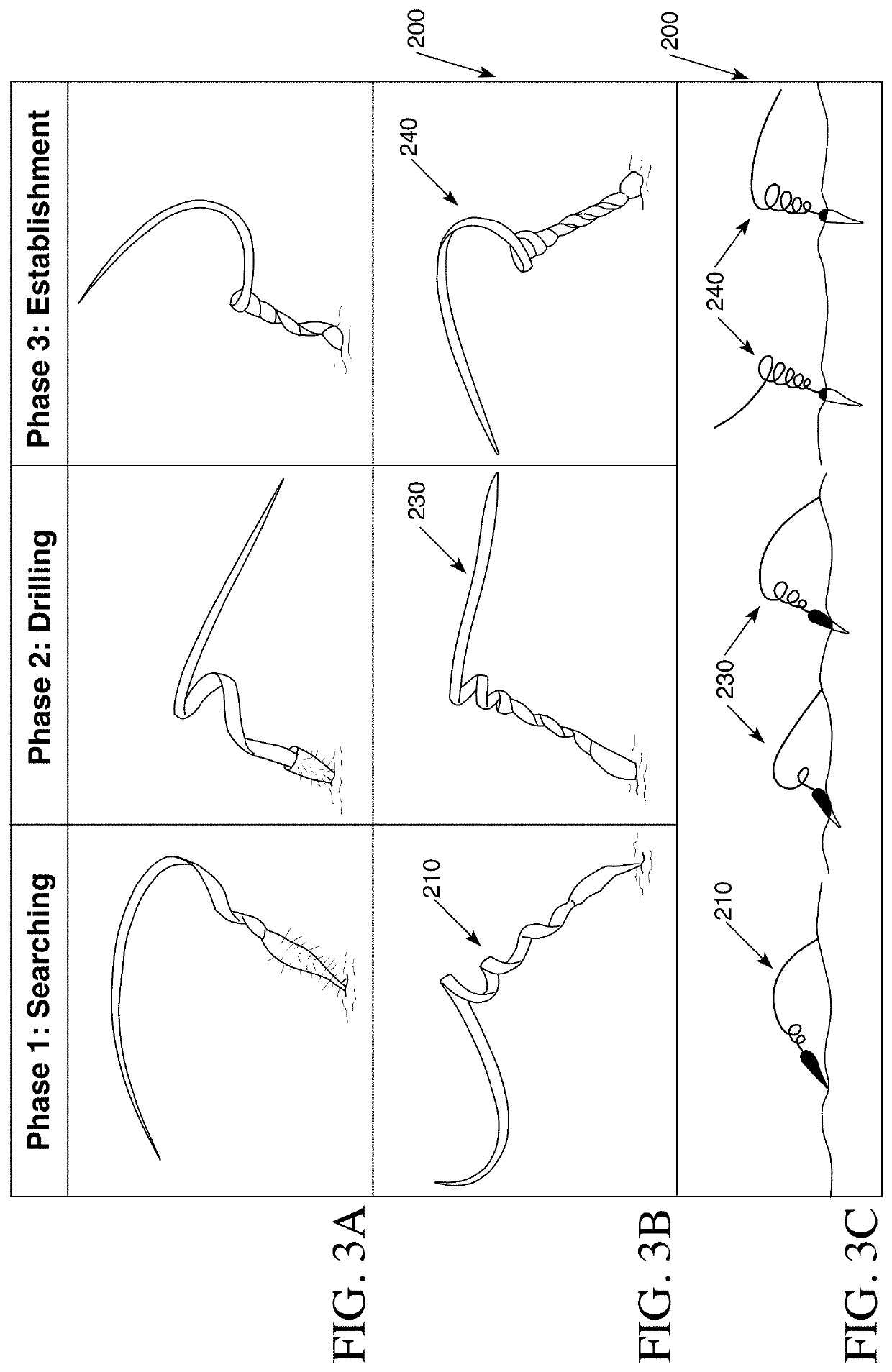 Methods and devices for biomimetic hygromorphic composite