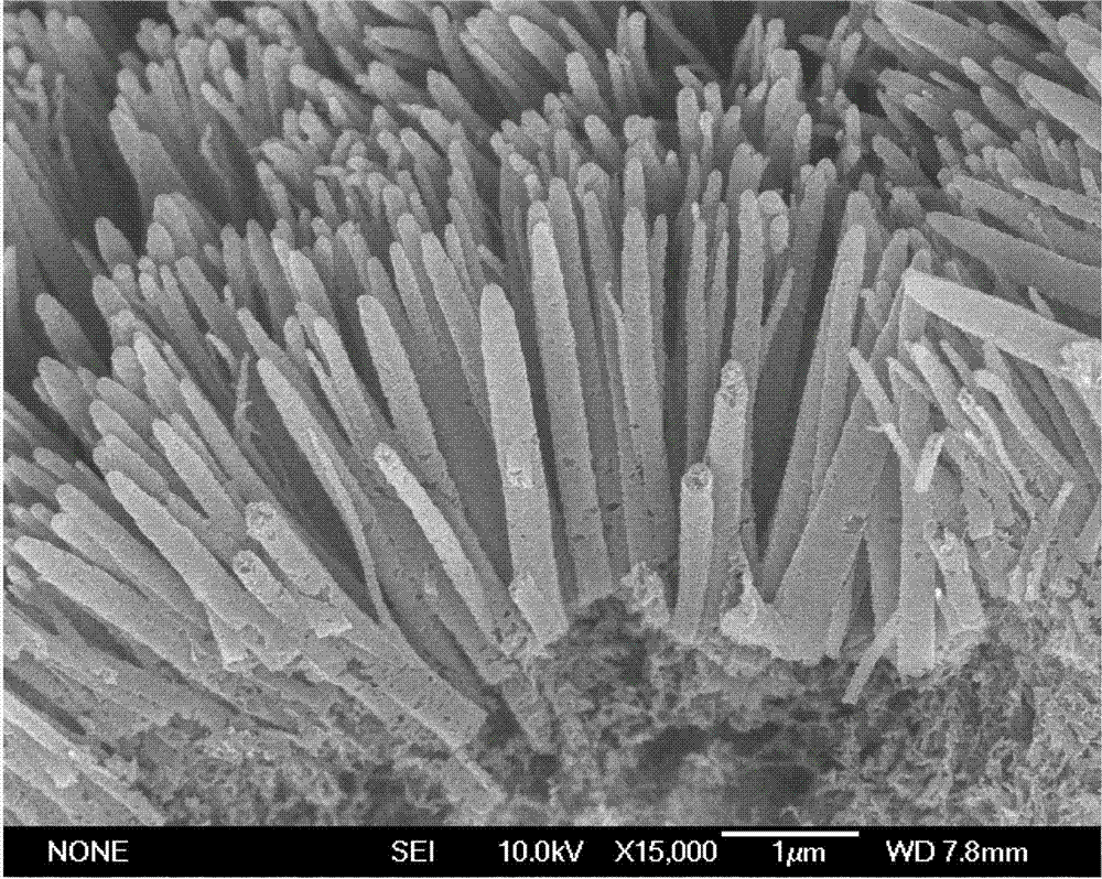 Porous carbon nanorod array electrode and preparation method thereof