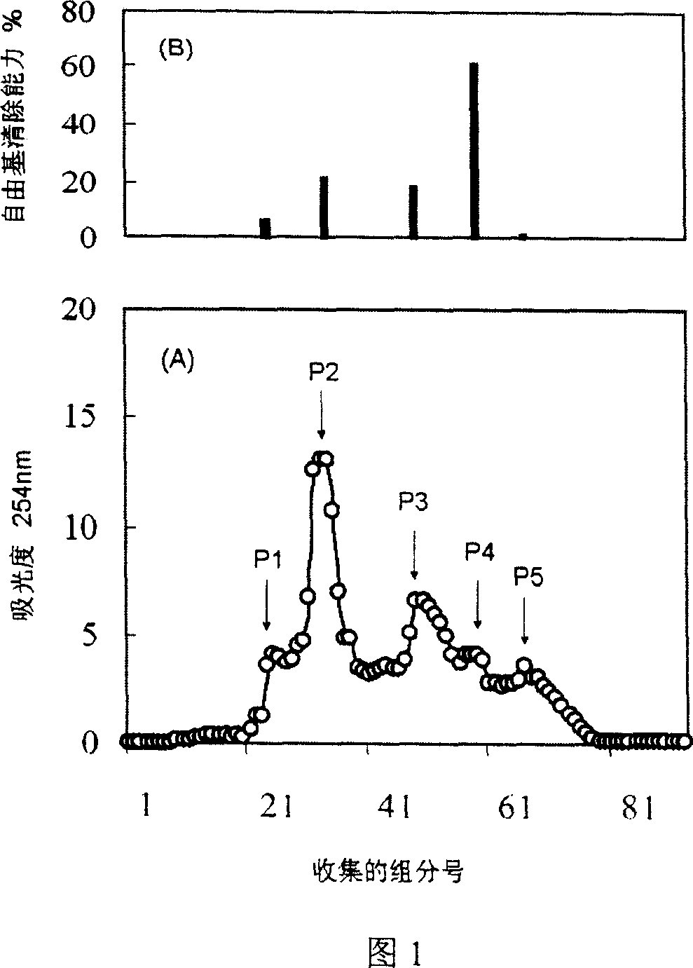 Anti-titanium oxide from collagen and its use