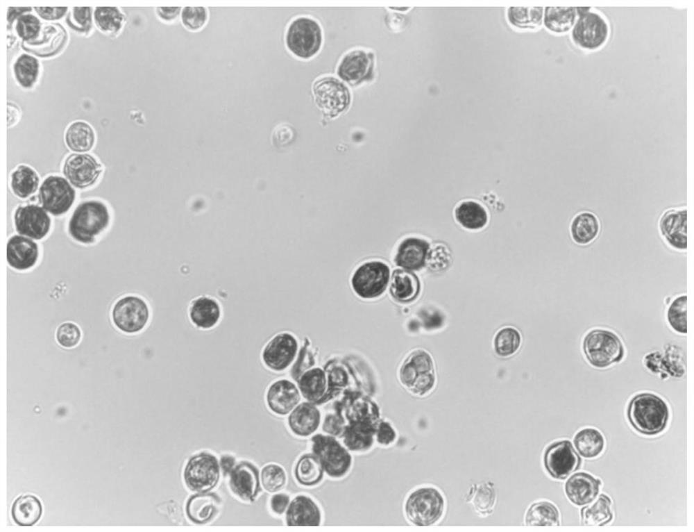 A kind of extraction method of biological fermentation carotenoid