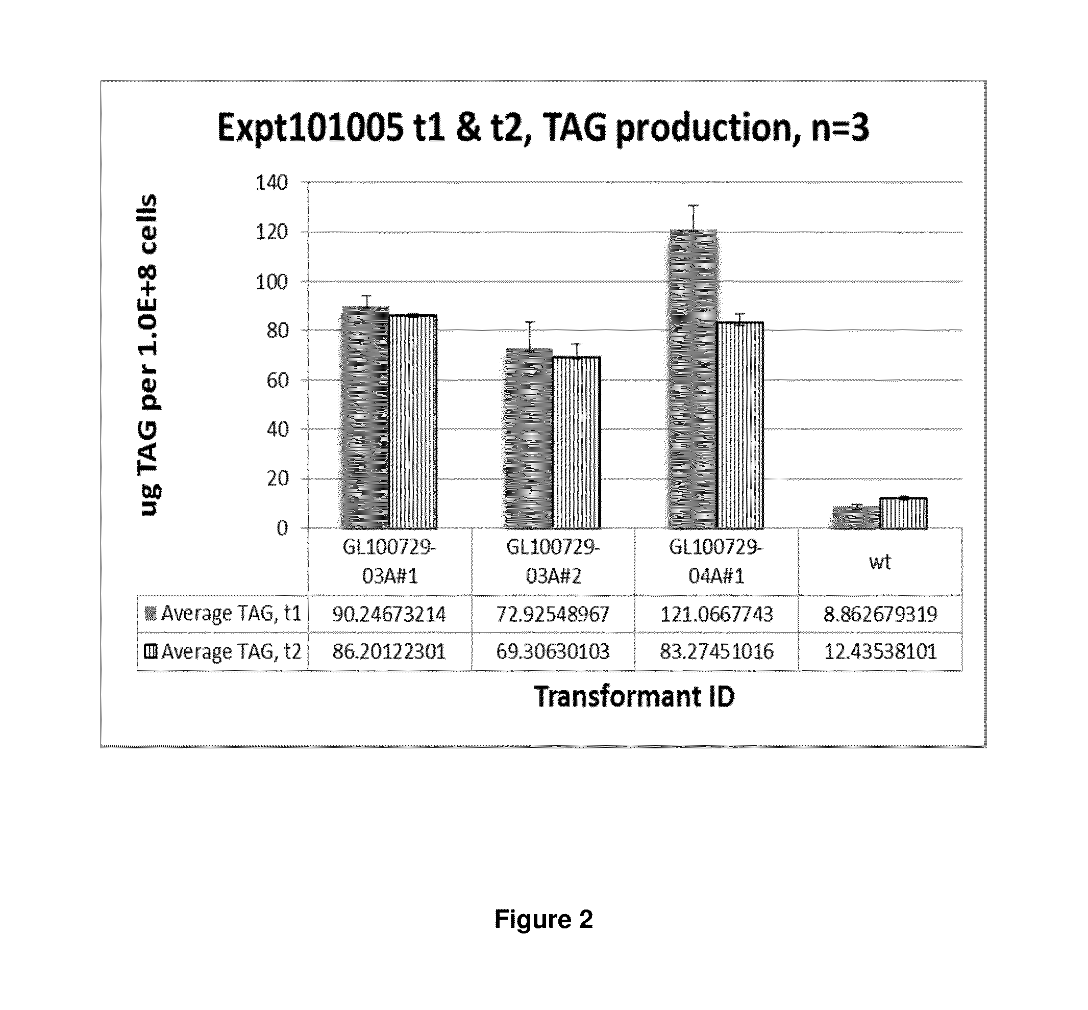 DGAT genes and methods of use for triglyceride production in recombinant microorganisms