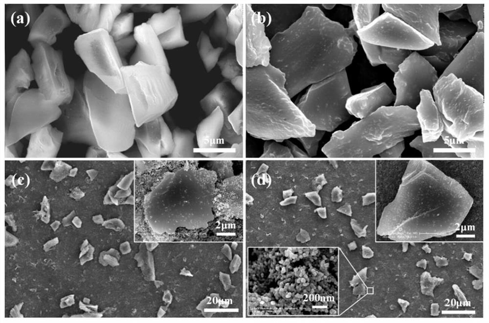 A kind of high-efficiency water-collecting self-cleaning super-amphiphobic coating and preparation method thereof