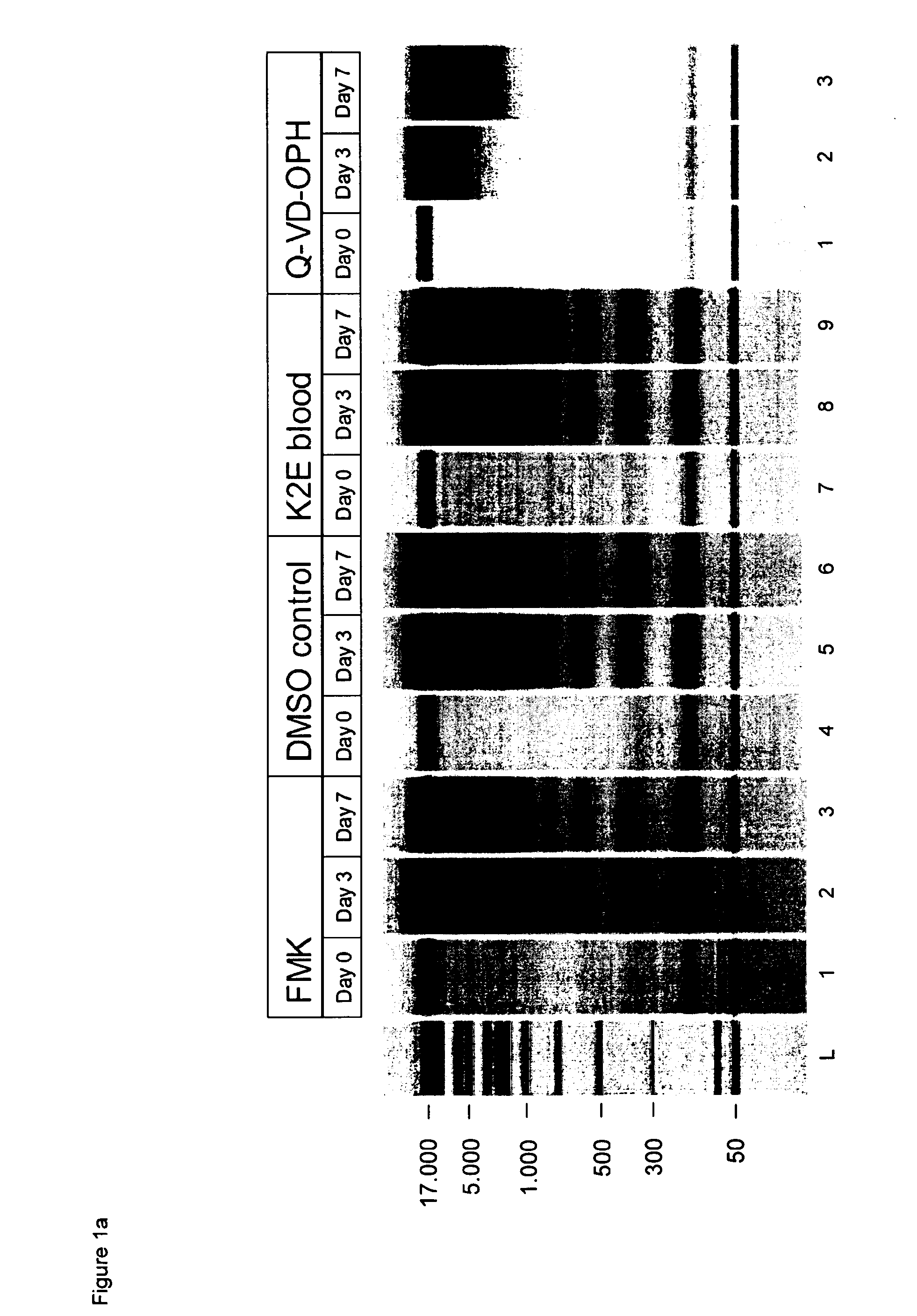 Stabilisation and isolation of extracellular nucleic acids