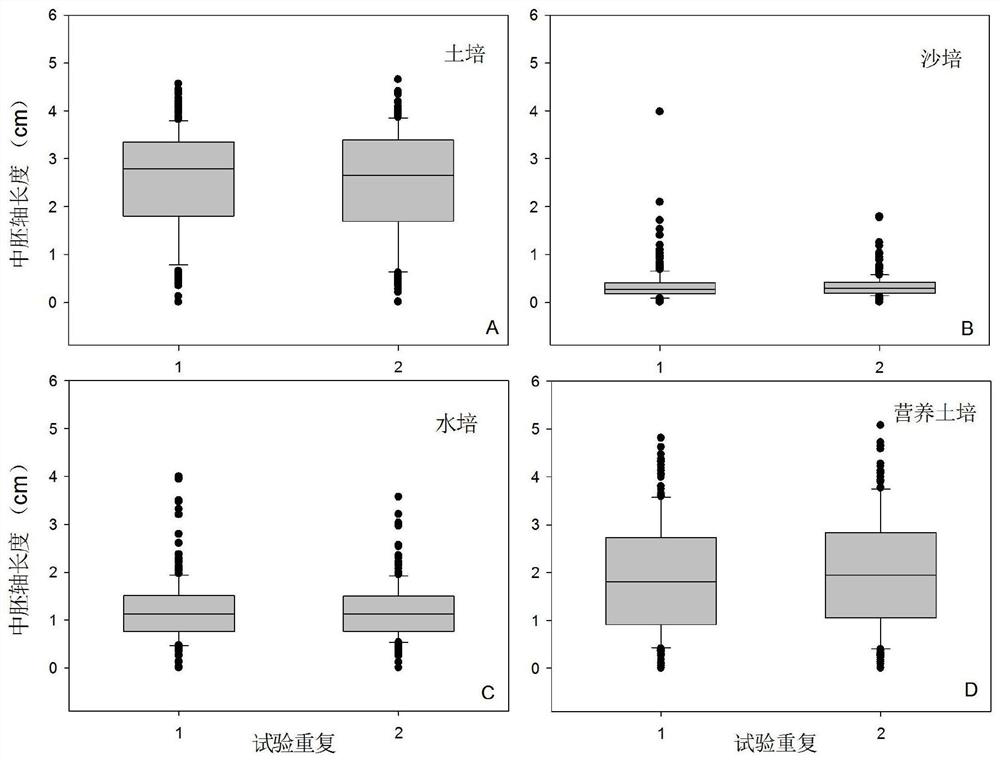 A method for identifying the mesocotyl elongation ability of dry-seeded rice