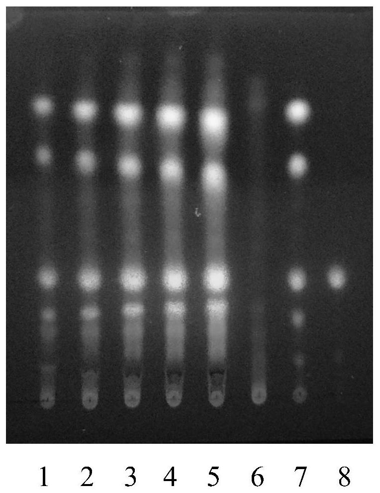 Method for detecting effective components of traditional Chinese medicine composition for treating kidney diseases